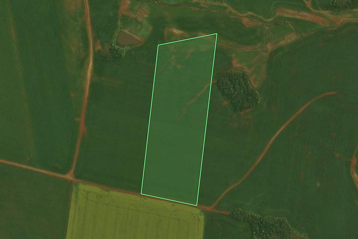 Imagem de satélite do imóvel rural em Fortaleza dos Valos (RS), com o contorno declarado no CAR desenhado por cima.