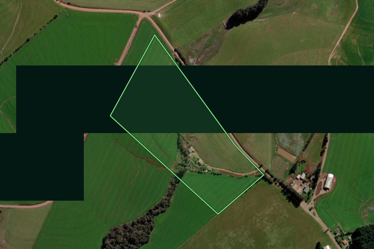Imagem de satélite do imóvel rural em Fortaleza dos Valos (RS), com o contorno declarado no CAR desenhado por cima.
