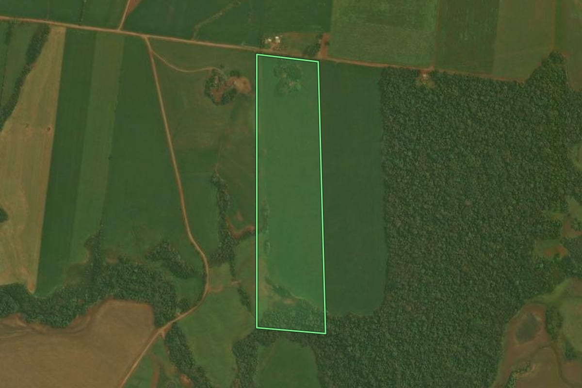 Imagem de satélite do imóvel rural em Fortaleza dos Valos (RS), com o contorno declarado no CAR desenhado por cima.