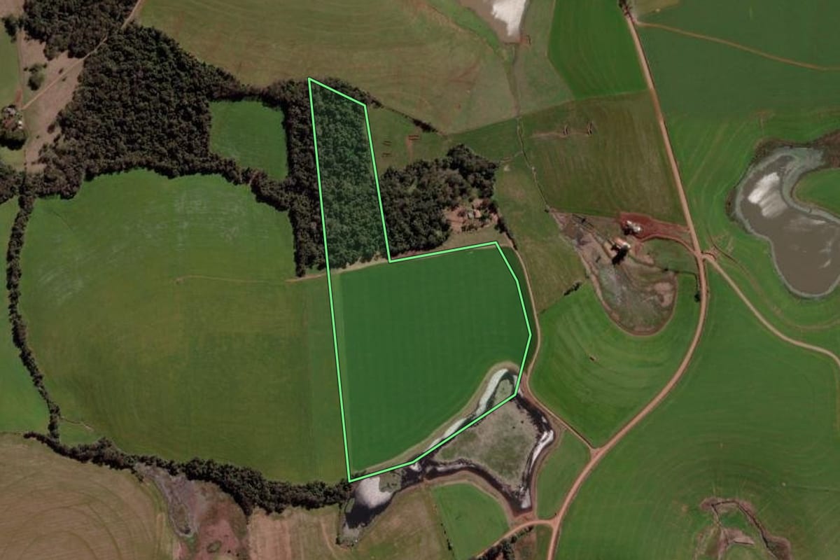Imagem de satélite do imóvel rural em Fortaleza dos Valos (RS), com o contorno declarado no CAR desenhado por cima.