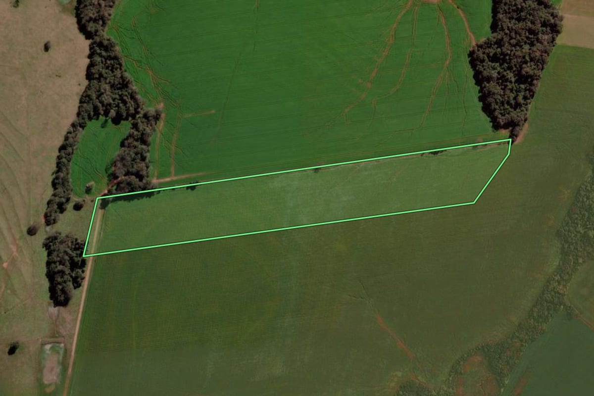 Imagem de satélite do imóvel rural em Fortaleza dos Valos (RS), com o contorno declarado no CAR desenhado por cima.