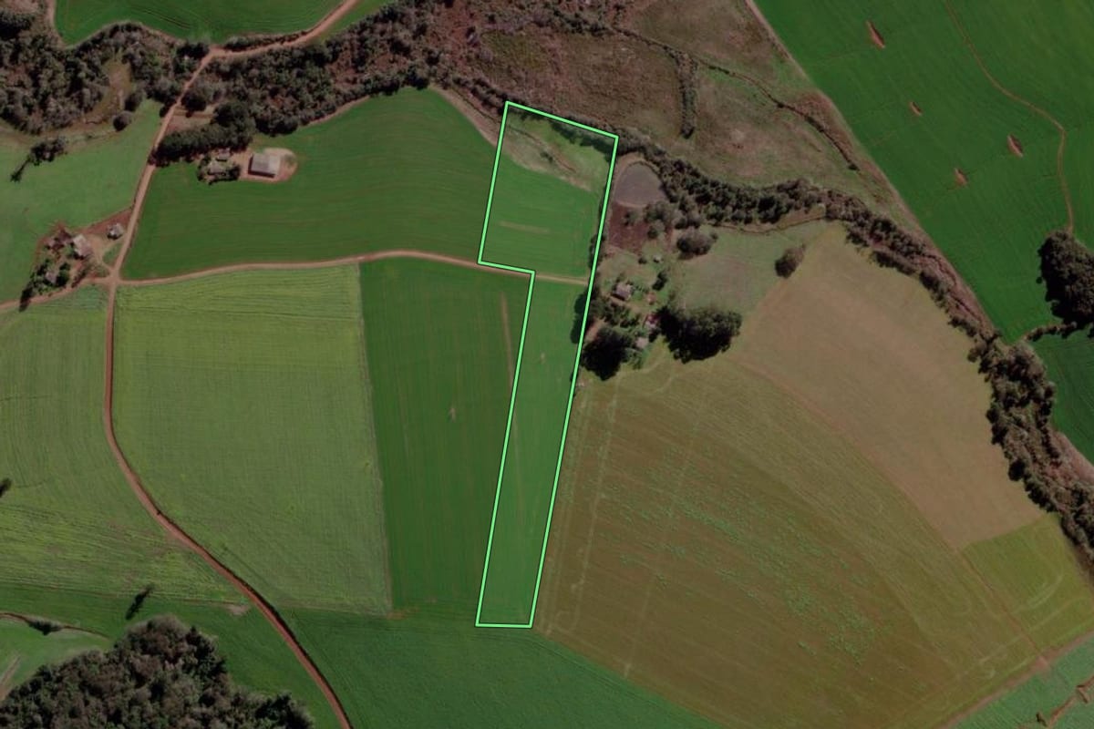 Imagem de satélite do imóvel rural em Fortaleza dos Valos (RS), com o contorno declarado no CAR desenhado por cima.