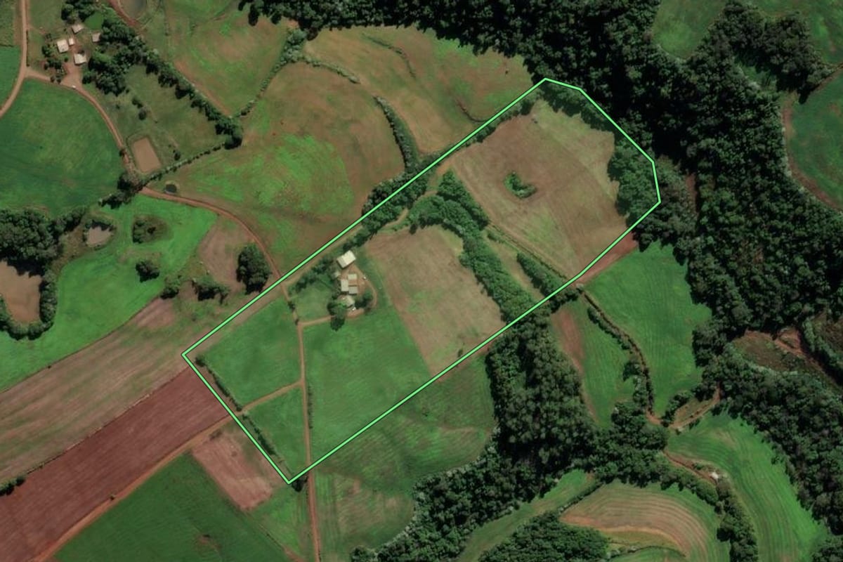 Imagem de satélite do imóvel rural em Frederico Westphalen (RS), com o contorno declarado no CAR desenhado por cima.