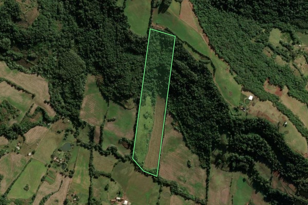 Imagem de satélite do imóvel rural em Frederico Westphalen (RS), com o contorno declarado no CAR desenhado por cima.