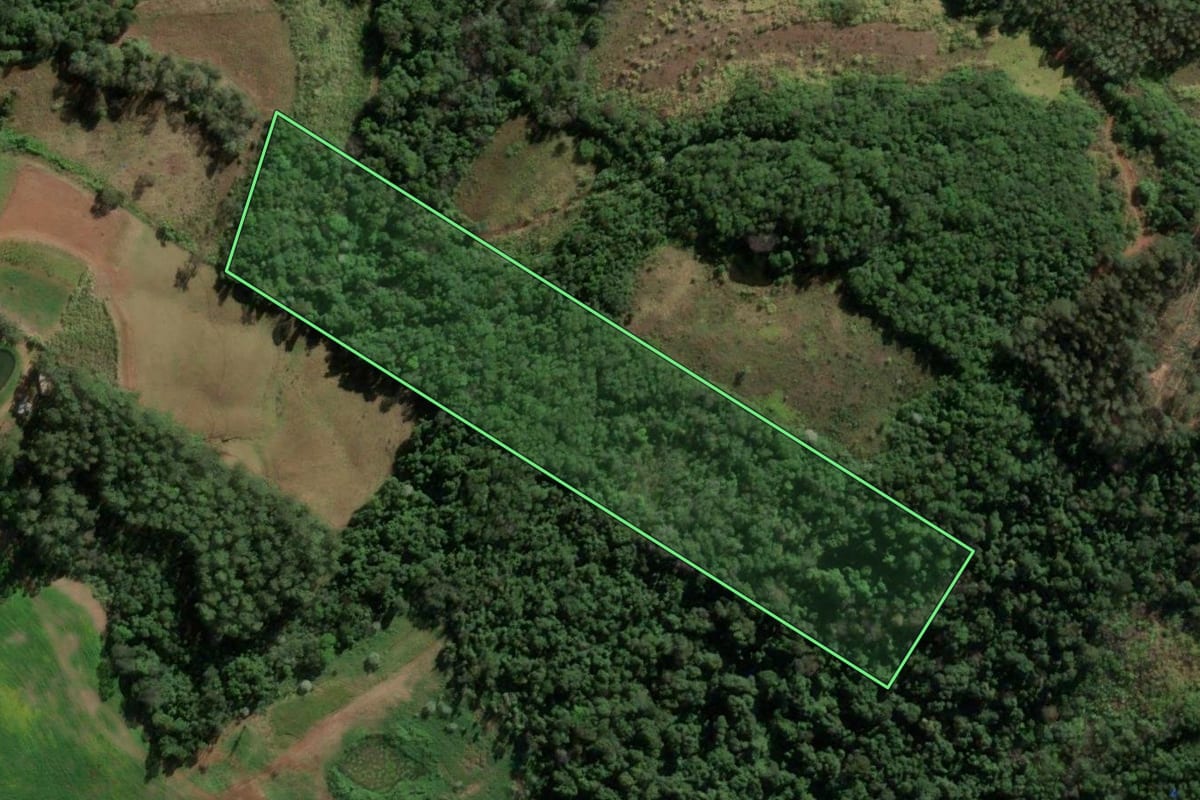 Imagem de satélite do imóvel rural em Frederico Westphalen (RS), com o contorno declarado no CAR desenhado por cima.