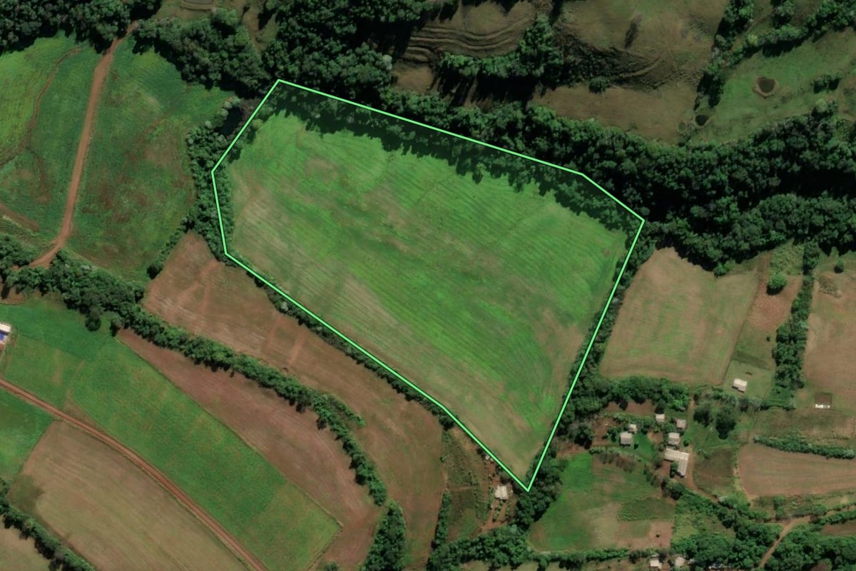 Imagem de satélite do imóvel rural em Frederico Westphalen (RS), com o contorno declarado no CAR desenhado por cima.