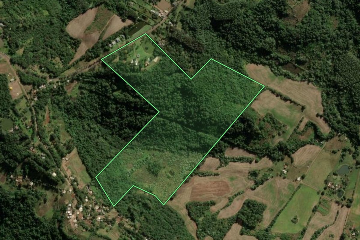 Imagem de satélite do imóvel rural em Frederico Westphalen (RS), com o contorno declarado no CAR desenhado por cima.