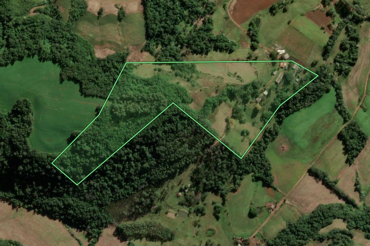 Imagem de satélite do imóvel rural em Frederico Westphalen (RS), com o contorno declarado no CAR desenhado por cima.