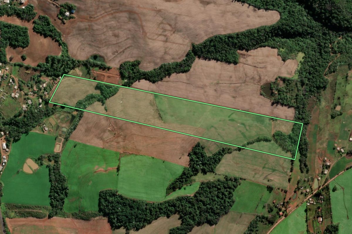 Imagem de satélite do imóvel rural em Frederico Westphalen (RS), com o contorno declarado no CAR desenhado por cima.