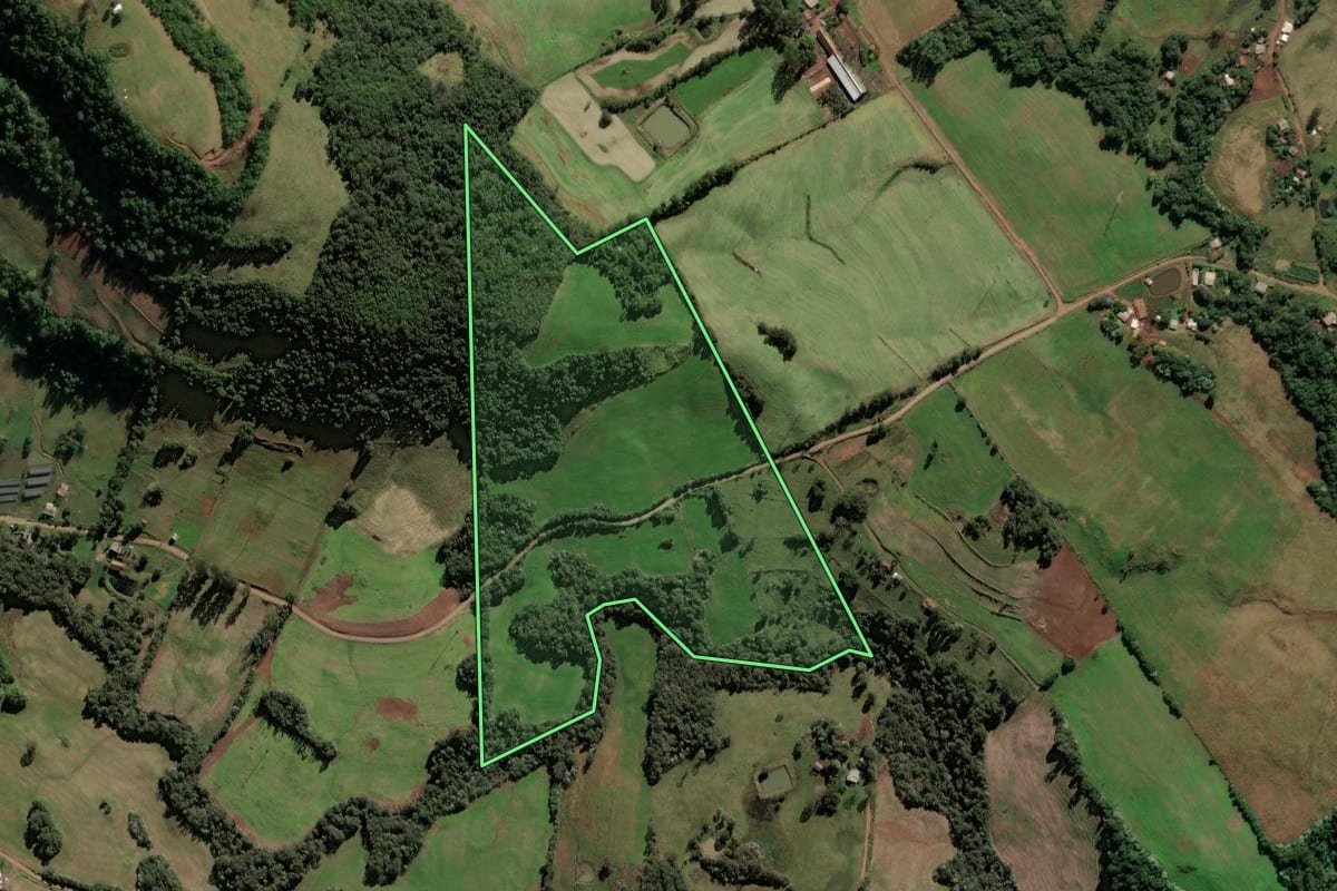 Imagem de satélite do imóvel rural em Frederico Westphalen (RS), com o contorno declarado no CAR desenhado por cima.