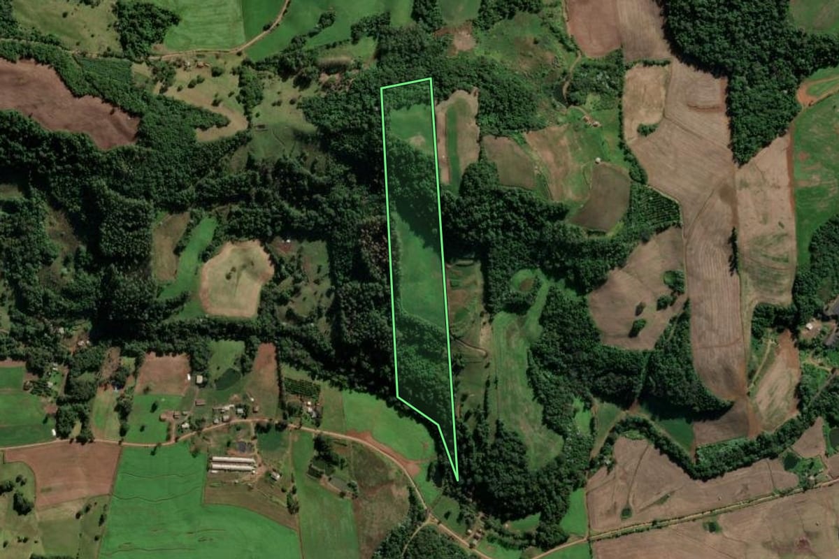 Imagem de satélite do imóvel rural em Frederico Westphalen (RS), com o contorno declarado no CAR desenhado por cima.