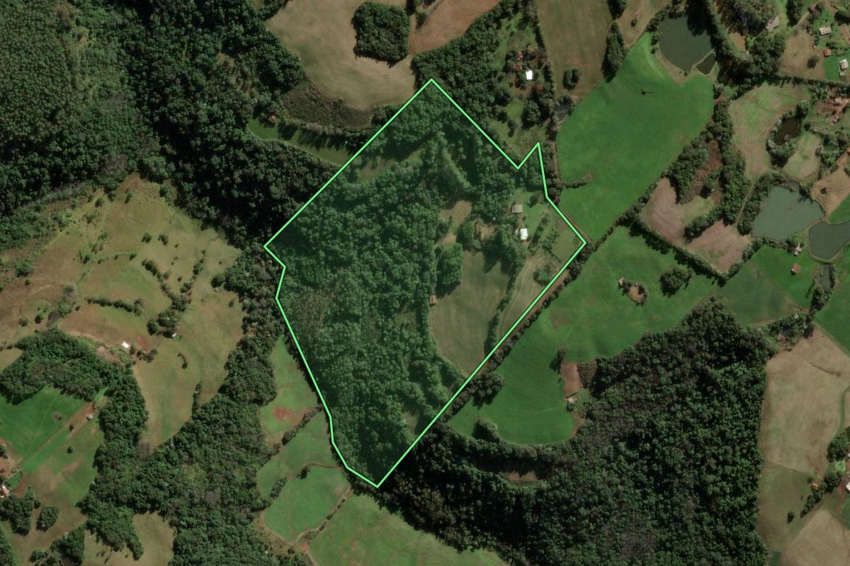 Imagem de satélite do imóvel rural em Frederico Westphalen (RS), com o contorno declarado no CAR desenhado por cima.
