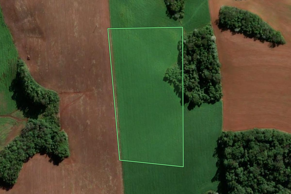 Imagem de satélite do imóvel rural em Frederico Westphalen (RS), com o contorno declarado no CAR desenhado por cima.