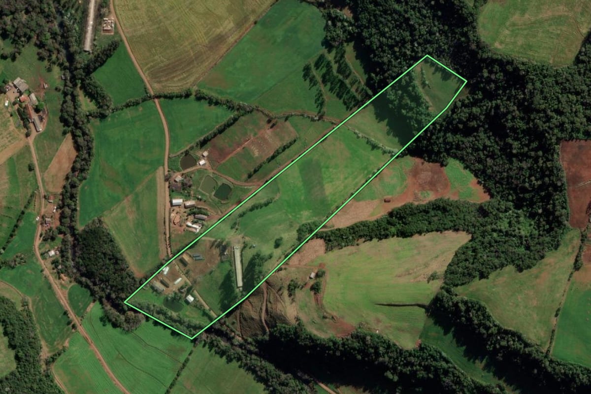 Imagem de satélite do imóvel rural em Frederico Westphalen (RS), com o contorno declarado no CAR desenhado por cima.