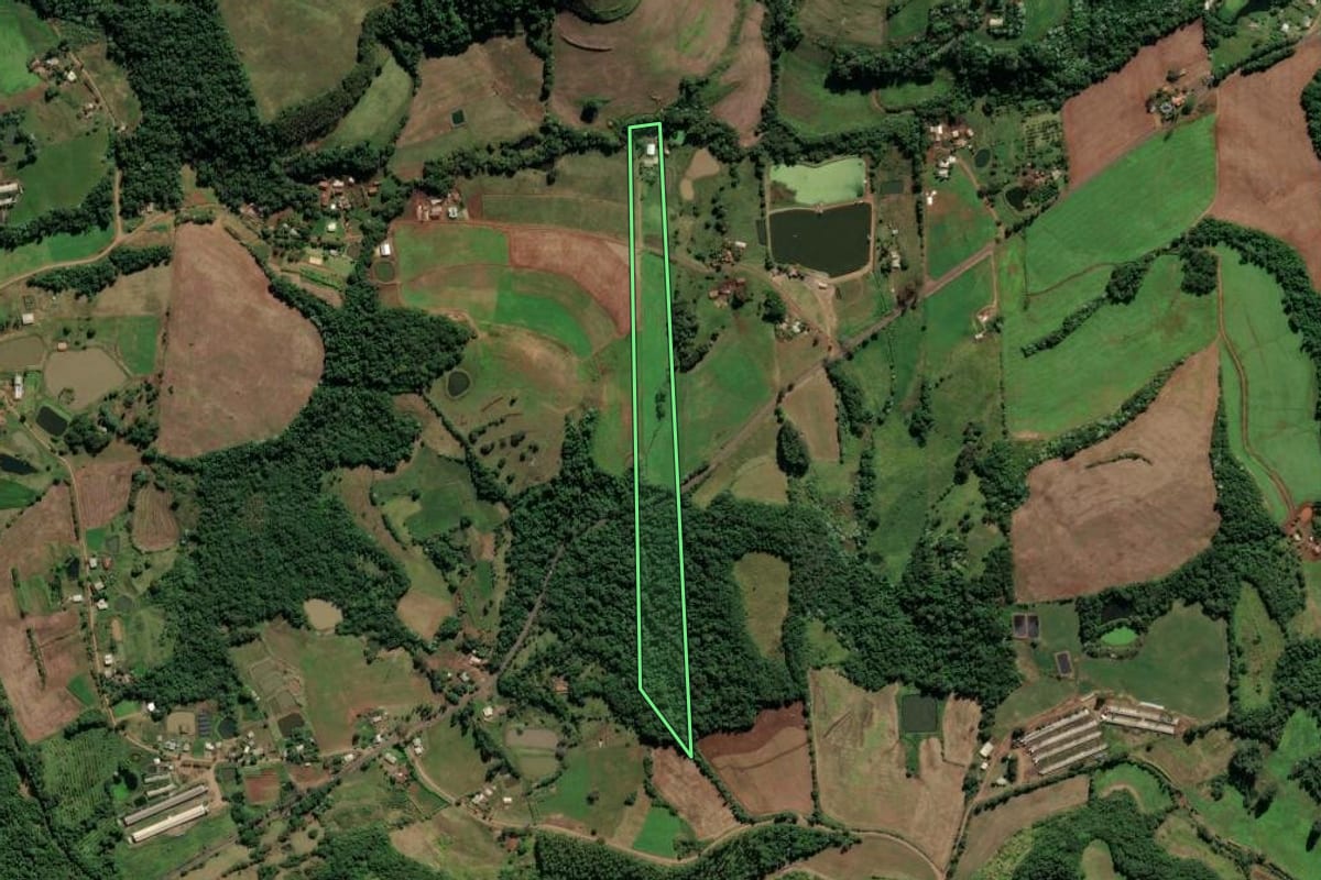 Imagem de satélite do imóvel rural em Frederico Westphalen (RS), com o contorno declarado no CAR desenhado por cima.