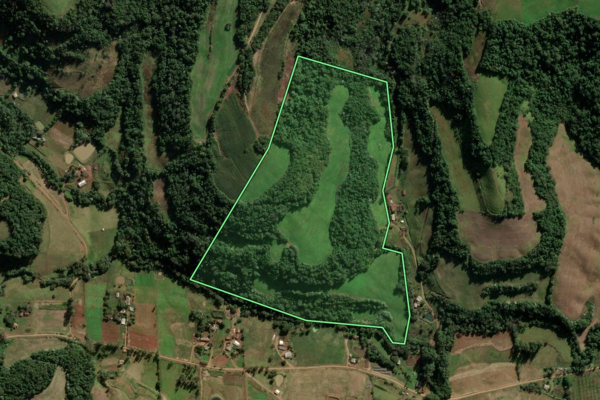 Imagem de satélite do imóvel rural em Frederico Westphalen (RS), com o contorno declarado no CAR desenhado por cima.