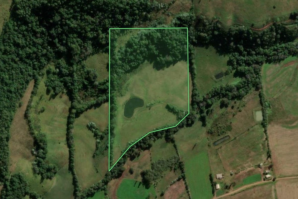 Imagem de satélite do imóvel rural em Frederico Westphalen (RS), com o contorno declarado no CAR desenhado por cima.