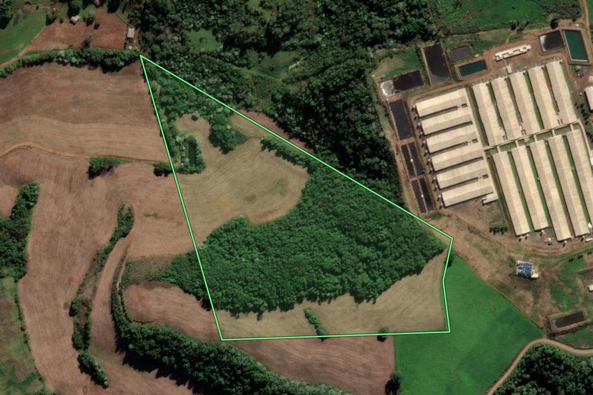Imagem de satélite do imóvel rural em Frederico Westphalen (RS), com o contorno declarado no CAR desenhado por cima.