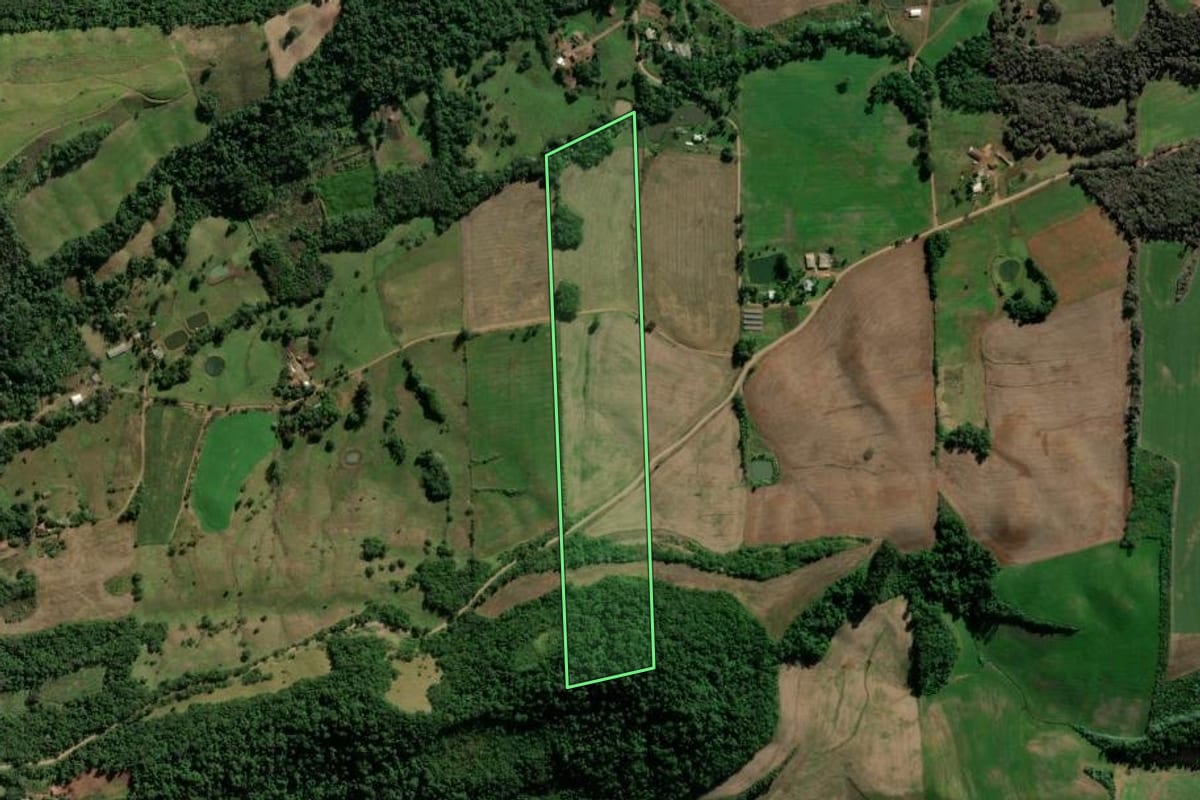 Imagem de satélite do imóvel rural em Frederico Westphalen (RS), com o contorno declarado no CAR desenhado por cima.