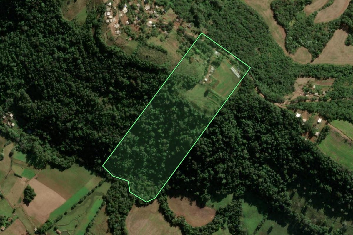 Imagem de satélite do imóvel rural em Frederico Westphalen (RS), com o contorno declarado no CAR desenhado por cima.