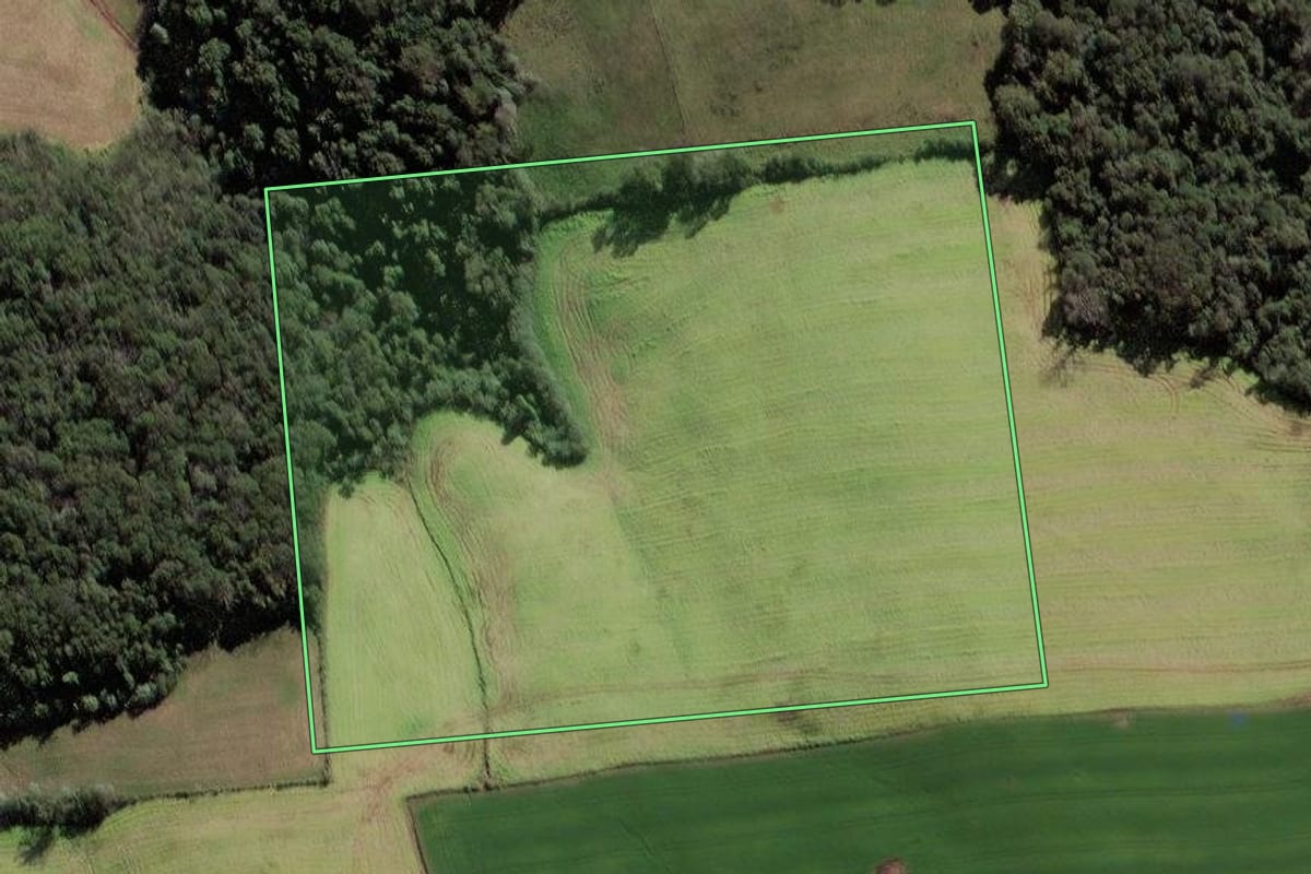Imagem de satélite do imóvel rural em Frederico Westphalen (RS), com o contorno declarado no CAR desenhado por cima.