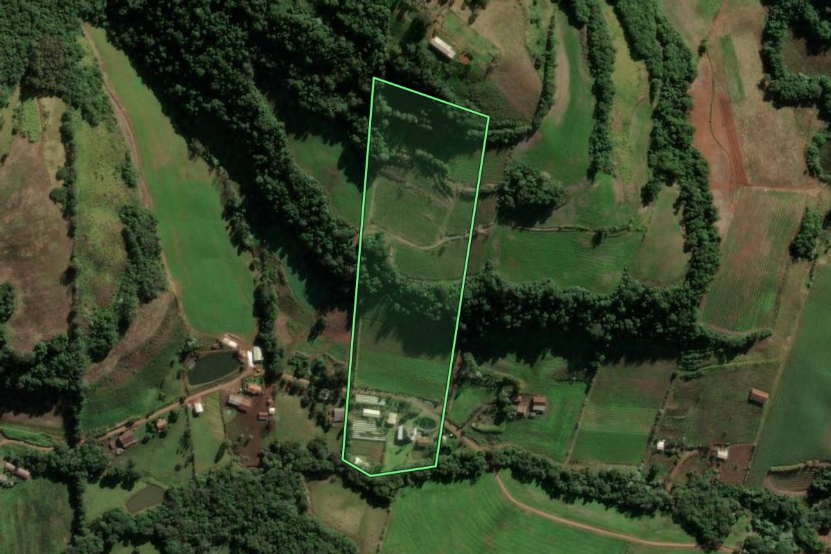 Imagem de satélite do imóvel rural em Frederico Westphalen (RS), com o contorno declarado no CAR desenhado por cima.