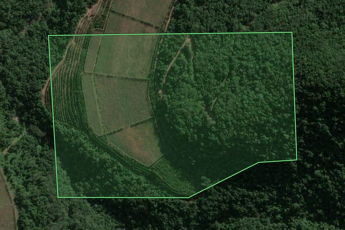 Imagem de satélite do imóvel rural em Garibaldi (RS), com o contorno declarado no CAR desenhado por cima.