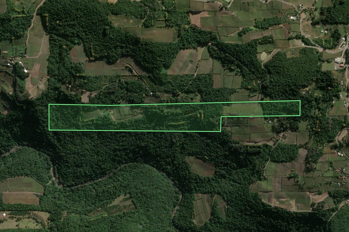 Imagem de satélite do imóvel rural em Garibaldi (RS), com o contorno declarado no CAR desenhado por cima.