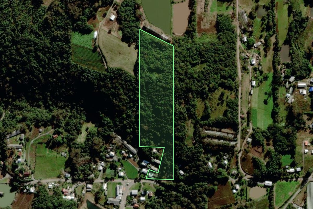 Imagem de satélite do imóvel rural em Garibaldi (RS), com o contorno declarado no CAR desenhado por cima.