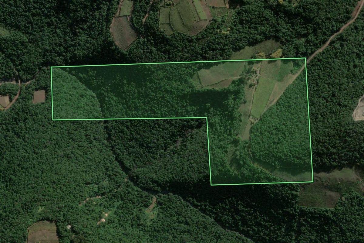 Imagem de satélite do imóvel rural em Garibaldi (RS), com o contorno declarado no CAR desenhado por cima.