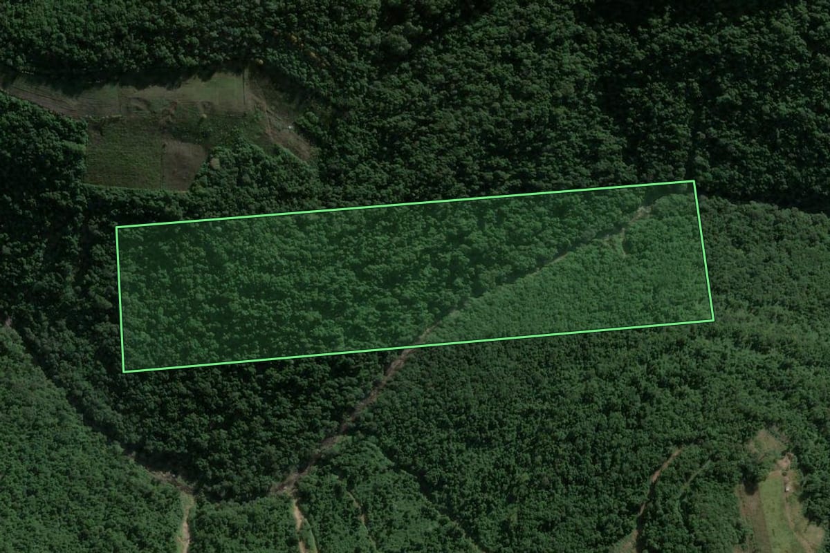 Imagem de satélite do imóvel rural em Garibaldi (RS), com o contorno declarado no CAR desenhado por cima.