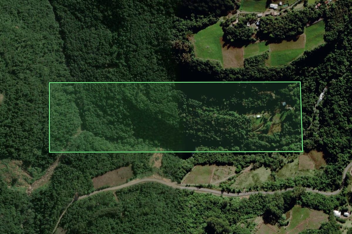 Imagem de satélite do imóvel rural em Garibaldi (RS), com o contorno declarado no CAR desenhado por cima.
