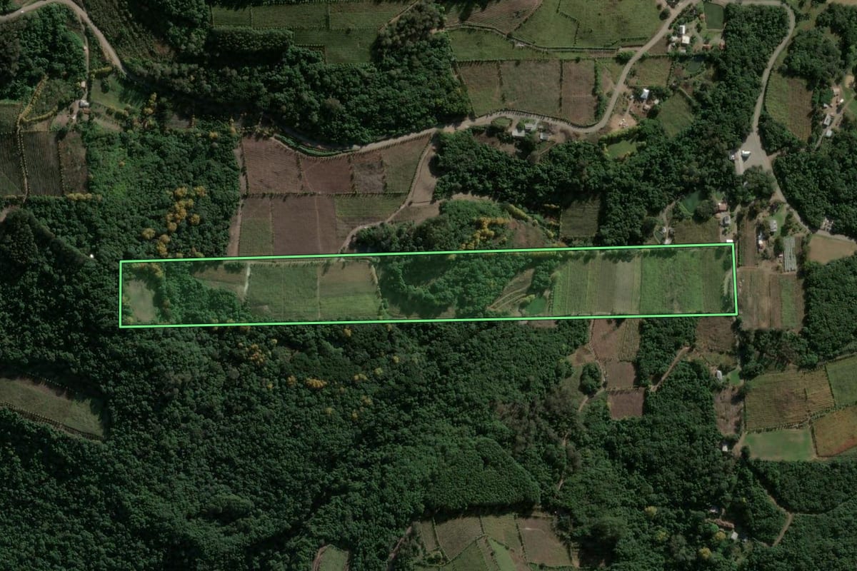 Imagem de satélite do imóvel rural em Garibaldi (RS), com o contorno declarado no CAR desenhado por cima.