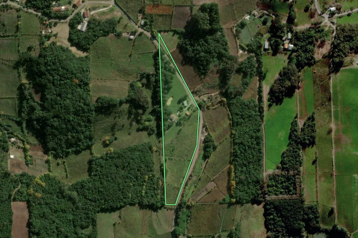 Imagem de satélite do imóvel rural em Garibaldi (RS), com o contorno declarado no CAR desenhado por cima.