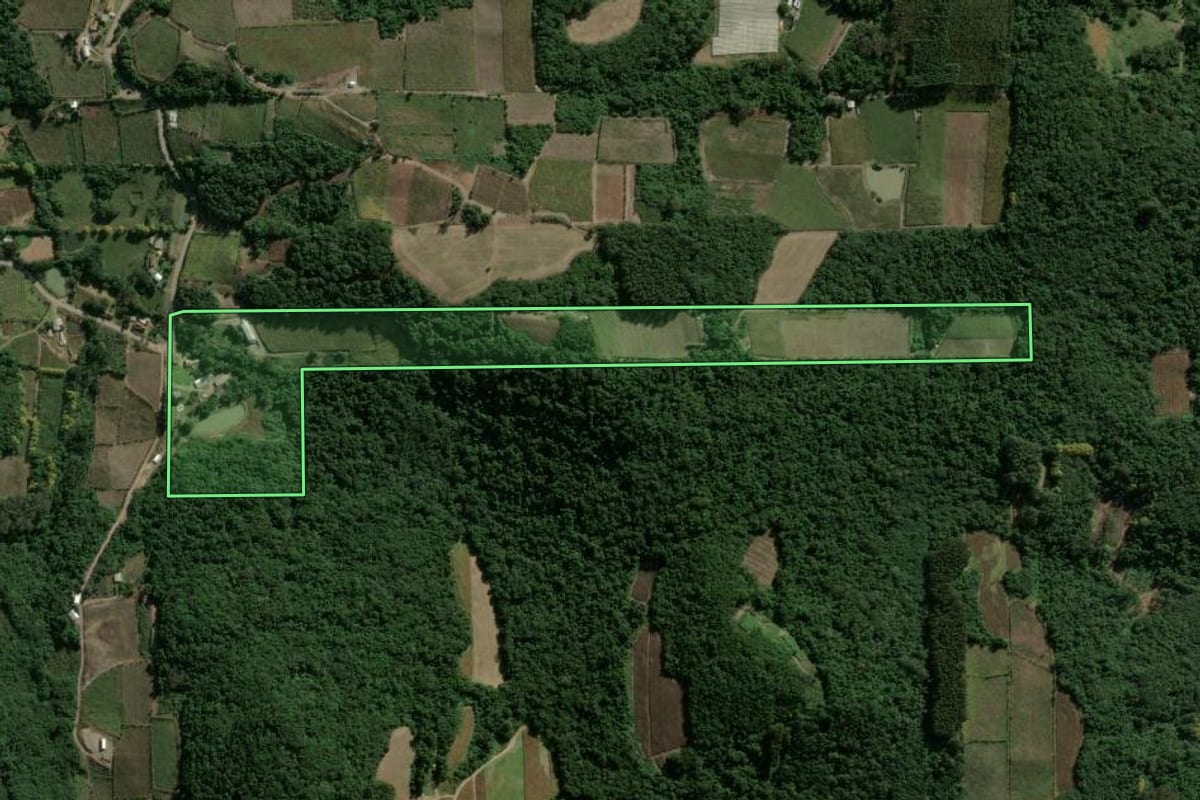 Imagem de satélite do imóvel rural em Garibaldi (RS), com o contorno declarado no CAR desenhado por cima.