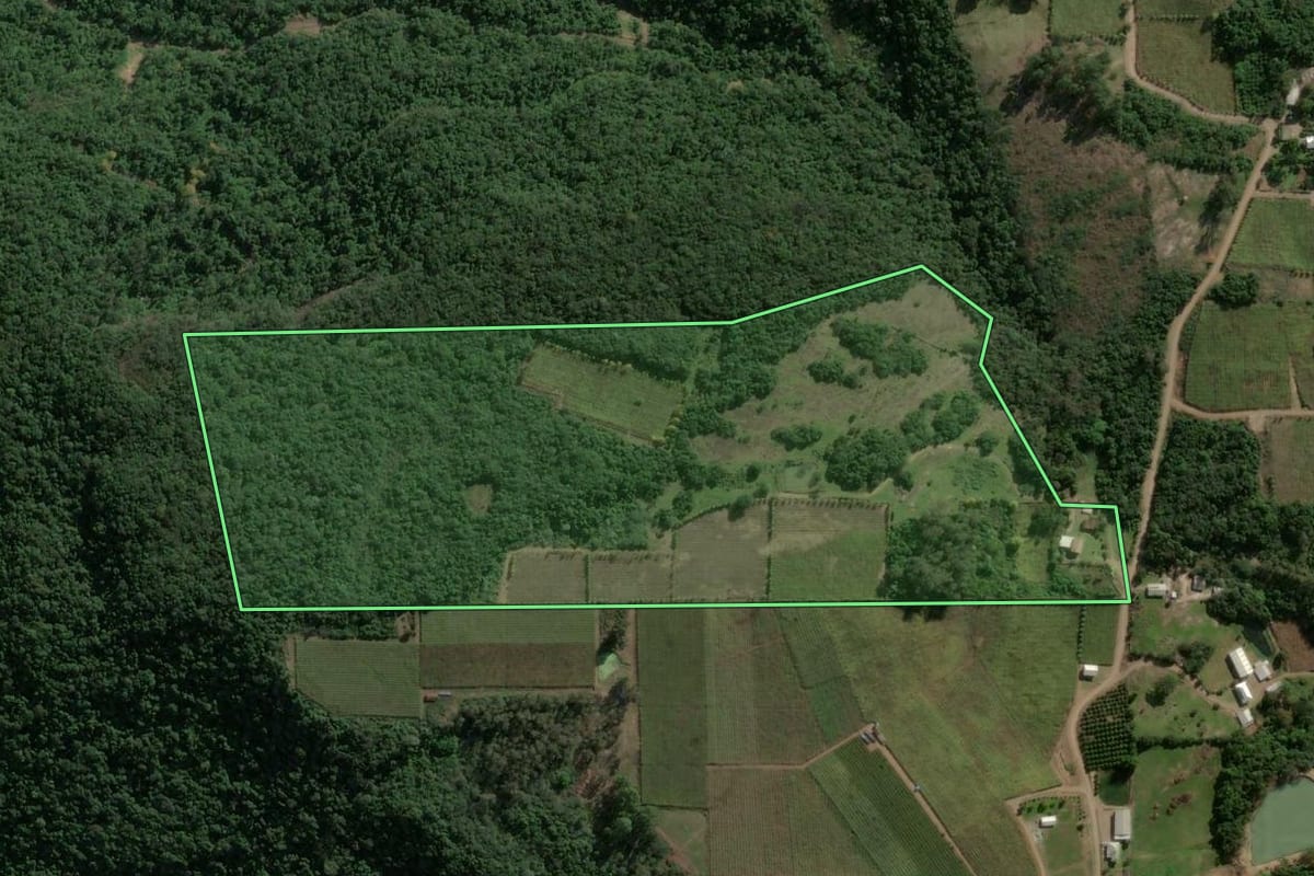 Imagem de satélite do imóvel rural em Garibaldi (RS), com o contorno declarado no CAR desenhado por cima.