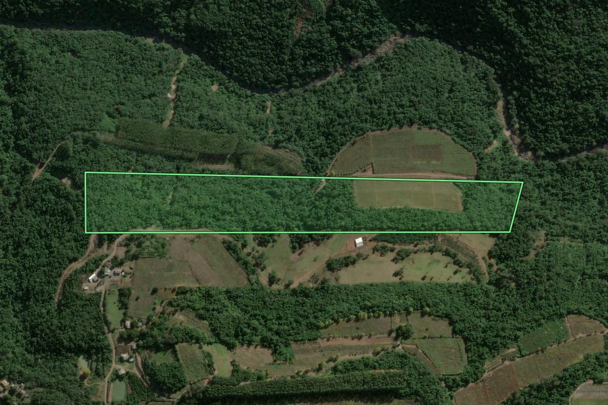 Imagem de satélite do imóvel rural em Garibaldi (RS), com o contorno declarado no CAR desenhado por cima.