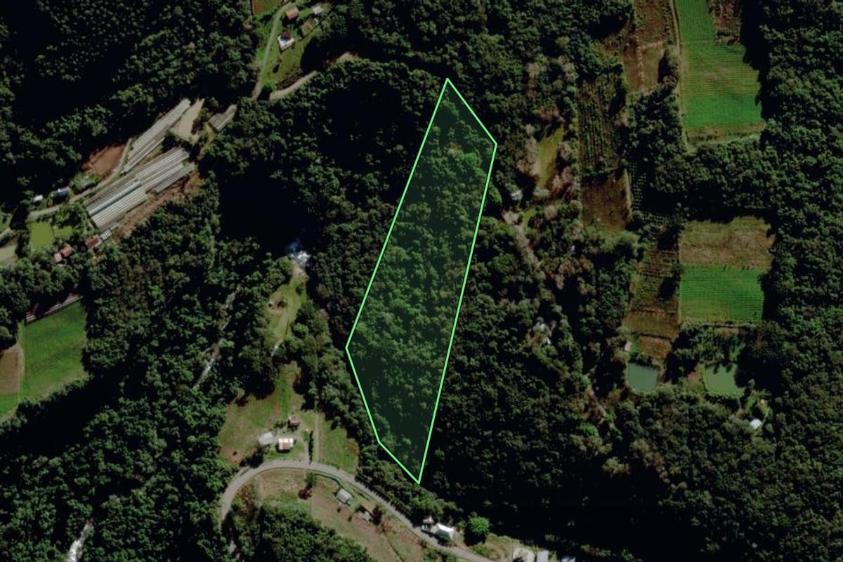 Imagem de satélite do imóvel rural em Garibaldi (RS), com o contorno declarado no CAR desenhado por cima.