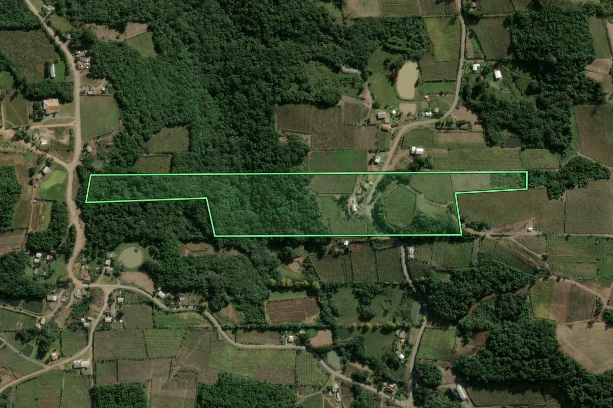 Imagem de satélite do imóvel rural em Garibaldi (RS), com o contorno declarado no CAR desenhado por cima.