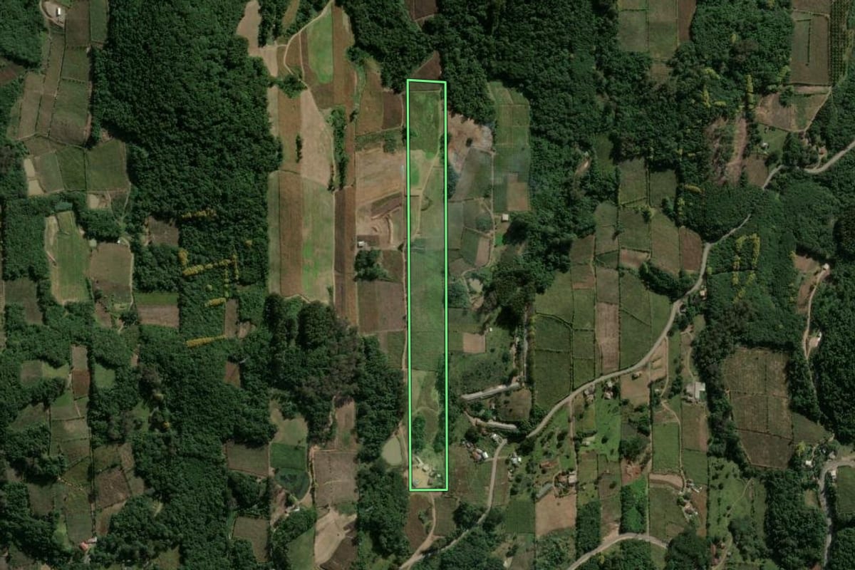 Imagem de satélite do imóvel rural em Garibaldi (RS), com o contorno declarado no CAR desenhado por cima.