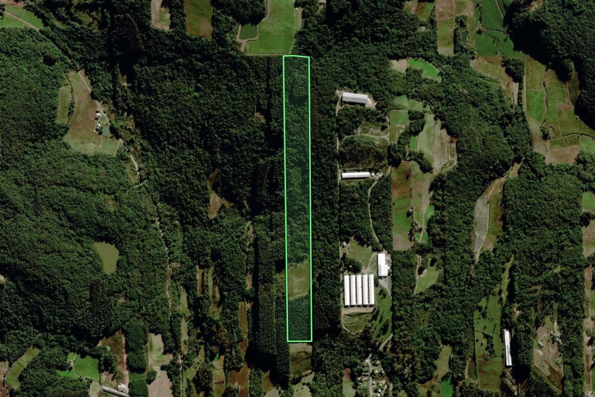Imagem de satélite do imóvel rural em Garibaldi (RS), com o contorno declarado no CAR desenhado por cima.