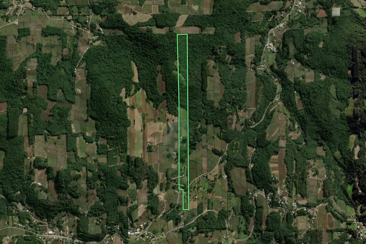 Imagem de satélite do imóvel rural em Garibaldi (RS), com o contorno declarado no CAR desenhado por cima.