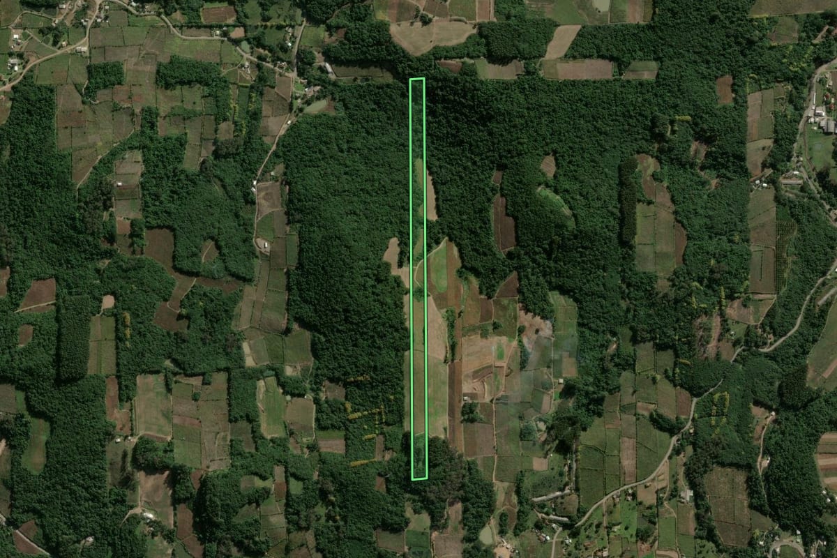 Imagem de satélite do imóvel rural em Garibaldi (RS), com o contorno declarado no CAR desenhado por cima.