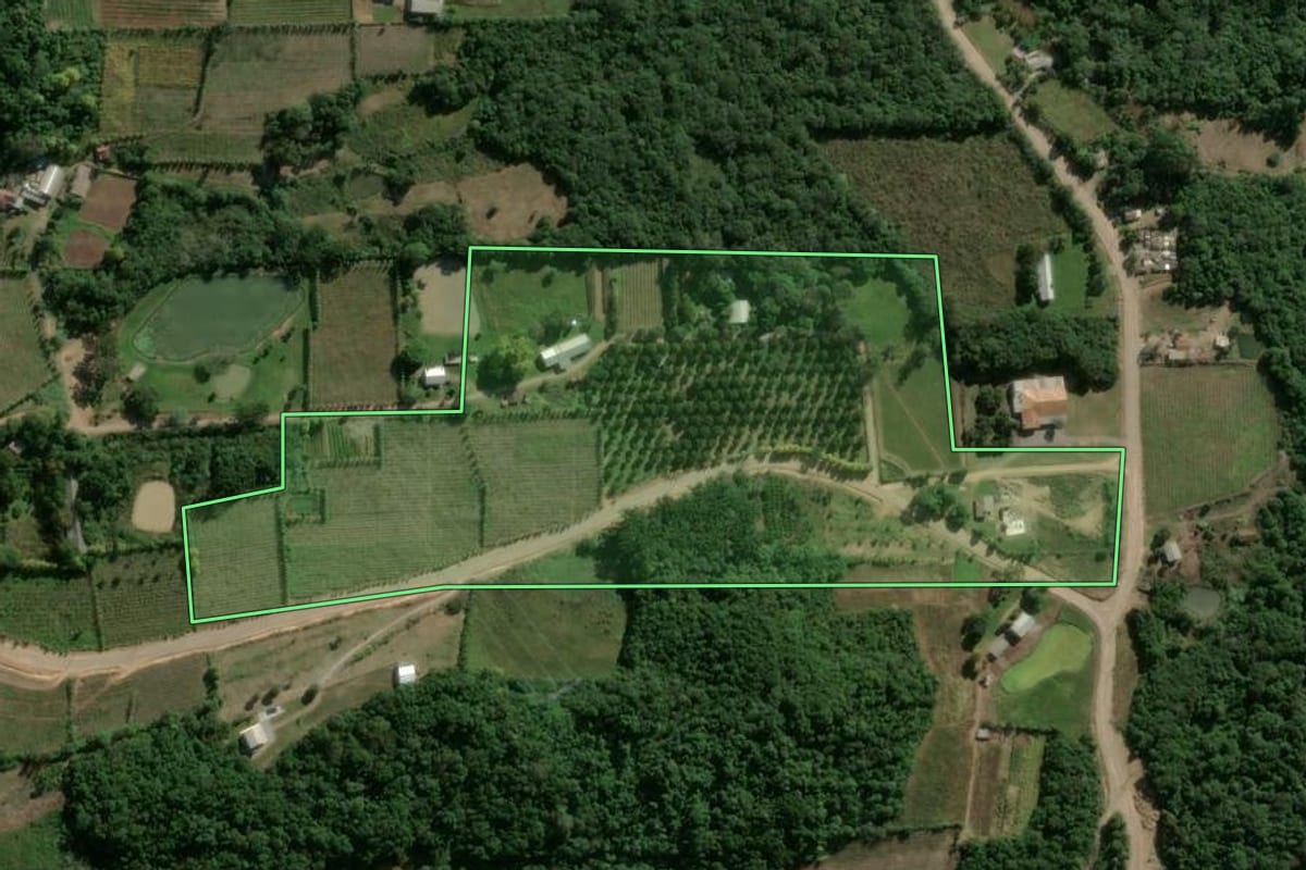 Imagem de satélite do imóvel rural em Garibaldi (RS), com o contorno declarado no CAR desenhado por cima.