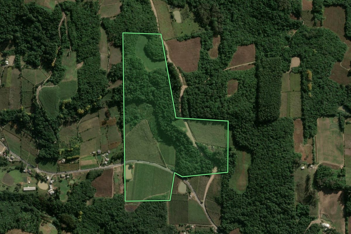 Imagem de satélite do imóvel rural em Garibaldi (RS), com o contorno declarado no CAR desenhado por cima.