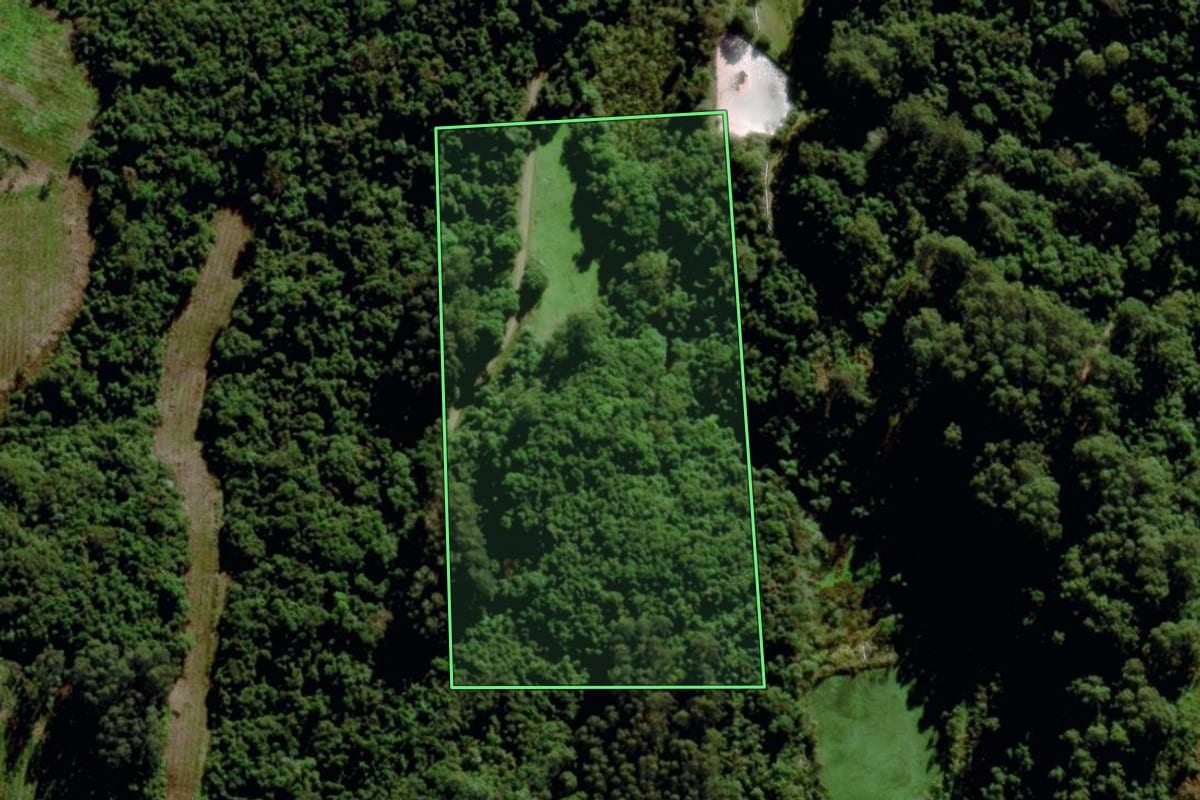 Imagem de satélite do imóvel rural em Garibaldi (RS), com o contorno declarado no CAR desenhado por cima.