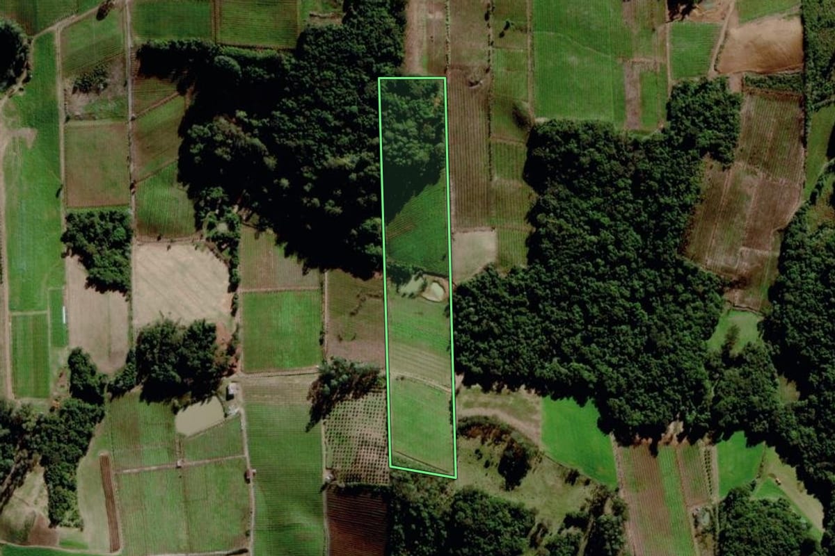 Imagem de satélite do imóvel rural em Garibaldi (RS), com o contorno declarado no CAR desenhado por cima.