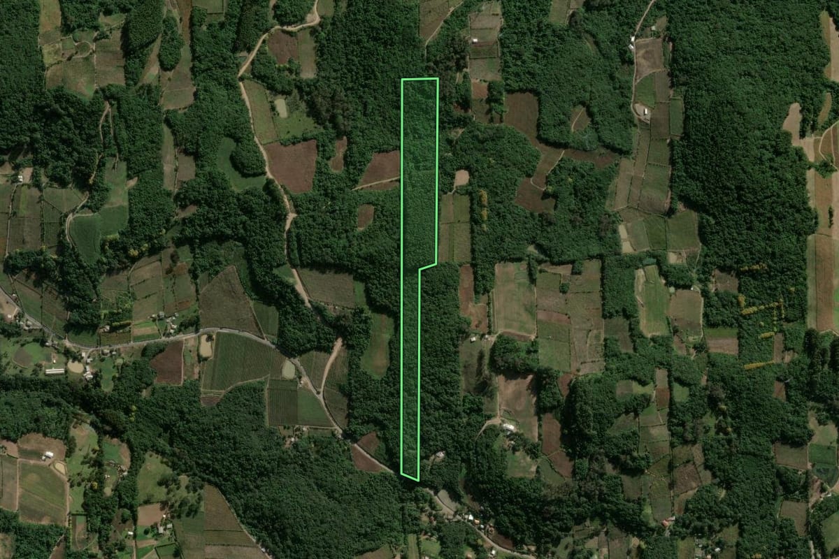 Imagem de satélite do imóvel rural em Garibaldi (RS), com o contorno declarado no CAR desenhado por cima.