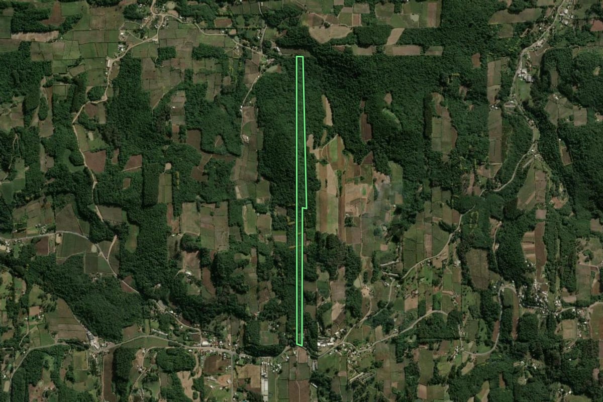 Imagem de satélite do imóvel rural em Garibaldi (RS), com o contorno declarado no CAR desenhado por cima.