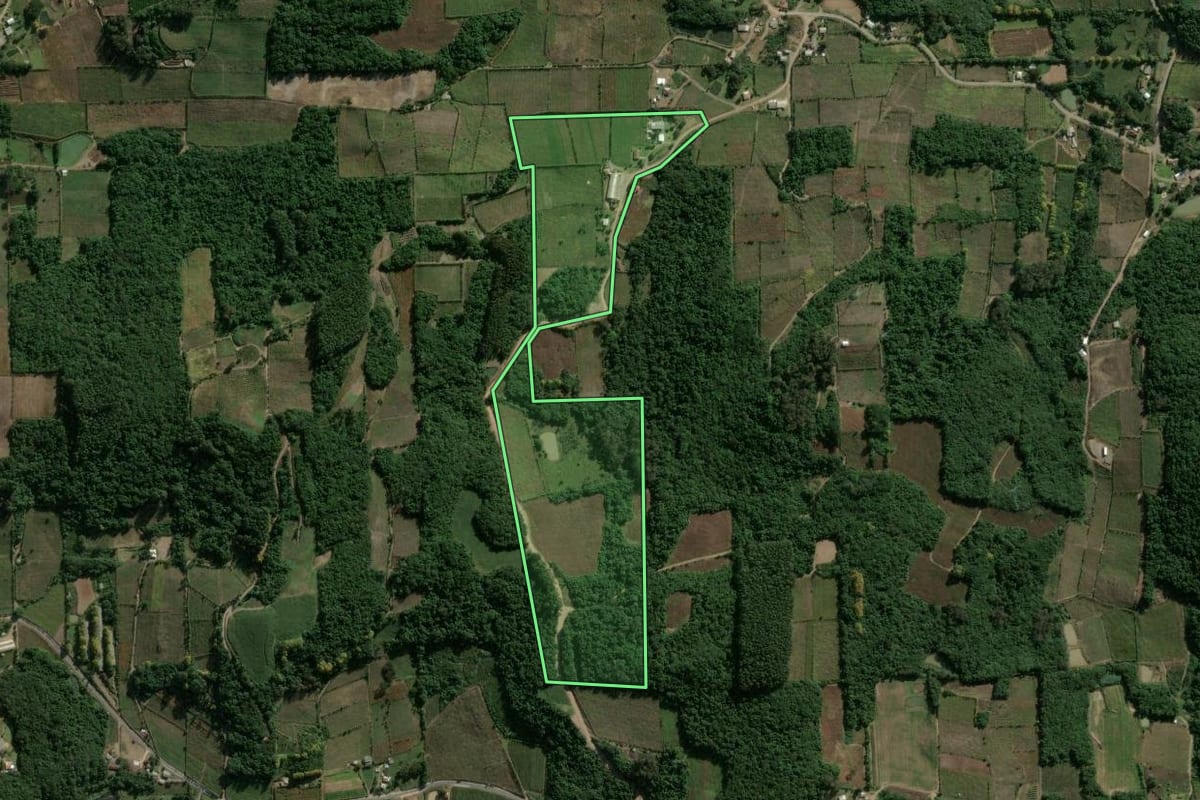 Imagem de satélite do imóvel rural em Garibaldi (RS), com o contorno declarado no CAR desenhado por cima.
